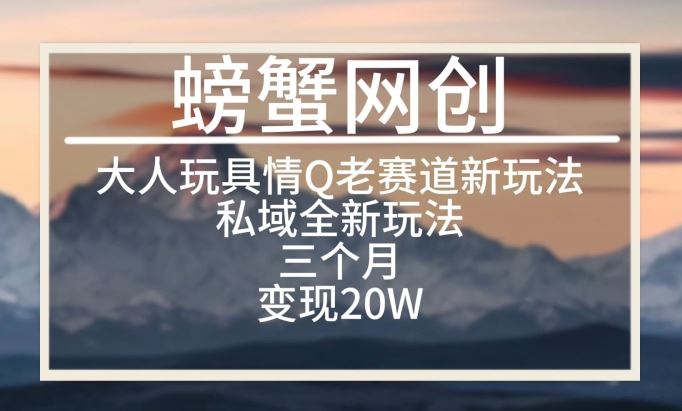 大人玩具情Q用品赛道私域全新玩法，三个月变现20W，老项目新思路【揭秘】-沫尘创业网-知识付费资源网站搭建-中创网-冒泡网赚-福缘创业网