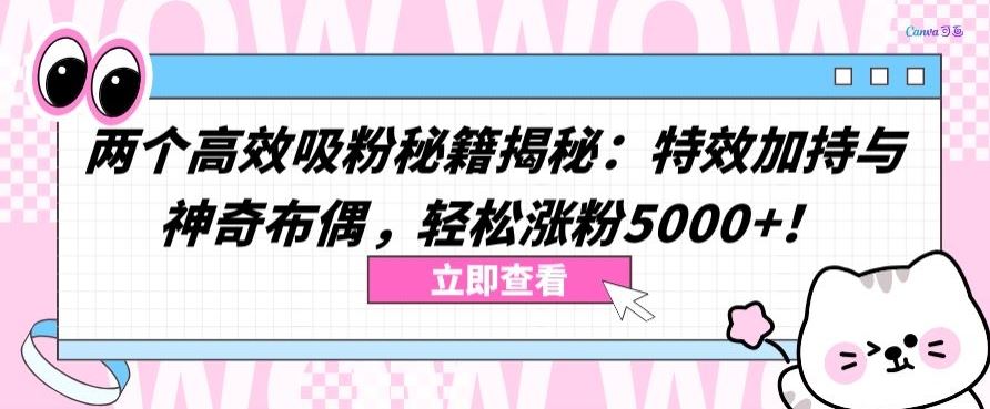 两个高效吸粉秘籍揭秘：特效加持与神奇布偶，轻松涨粉5000+【揭秘】-沫尘创业网-知识付费资源网站搭建-中创网-冒泡网赚-福缘创业网