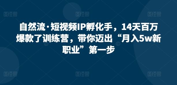 自然流·短视频IP孵化手，14天百万爆款了训练营，带你迈出“月入5w新职业”第一步-沫尘创业网-知识付费资源网站搭建-中创网-冒泡网赚-福缘创业网