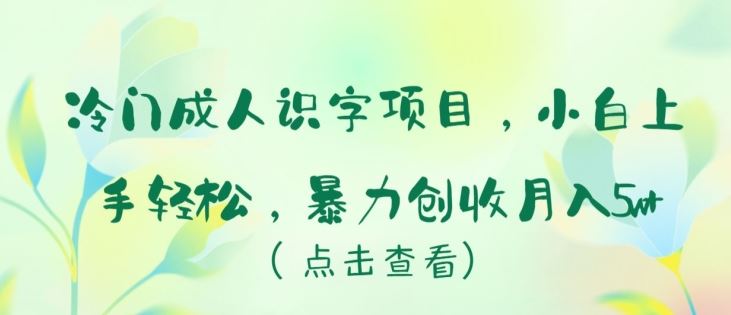 冷门成人识字项目，小白上手轻松，暴力创收月入5w+【揭秘】-沫尘创业网-知识付费资源网站搭建-中创网-冒泡网赚-福缘创业网