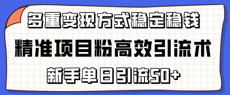 精准项目粉高效引流术，新手单日引流50+，多重变现方式稳定赚钱【揭秘】-沫尘创业网-知识付费资源网站搭建-中创网-冒泡网赚-福缘创业网