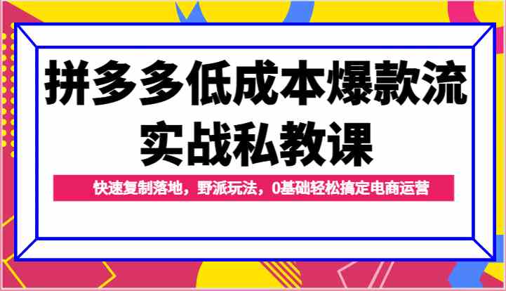 拼多多低成本爆款流实战私教课，快速复制落地，野派玩法，0基础轻松搞定电商运营-沫尘创业网-知识付费资源网站搭建-中创网-冒泡网赚-福缘创业网