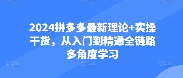 2024拼多多最新理论+实操干货，从入门到精通全链路多角度学习-沫尘创业网-知识付费资源网站搭建-中创网-冒泡网赚-福缘创业网