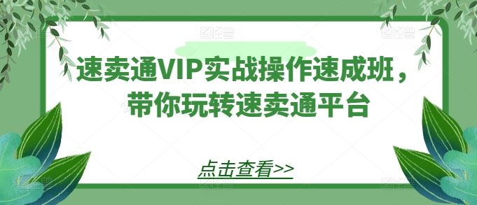 速卖通VIP实战操作速成班，带你玩转速卖通平台-沫尘创业网-知识付费资源网站搭建-中创网-冒泡网赚-福缘创业网