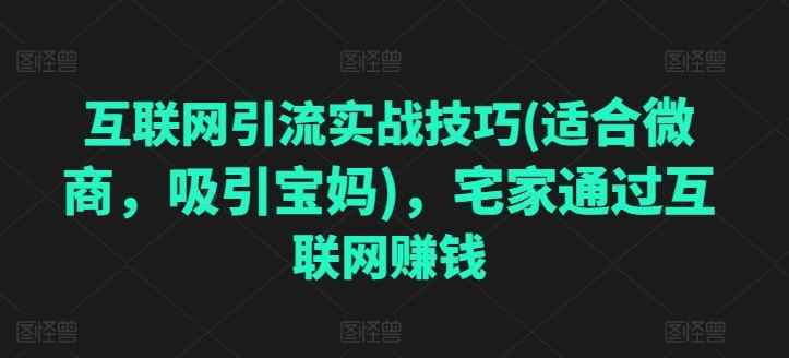 互联网引流实战技巧(适合微商，吸引宝妈)，宅家通过互联网赚钱-沫尘创业网-知识付费资源网站搭建-中创网-冒泡网赚-福缘创业网