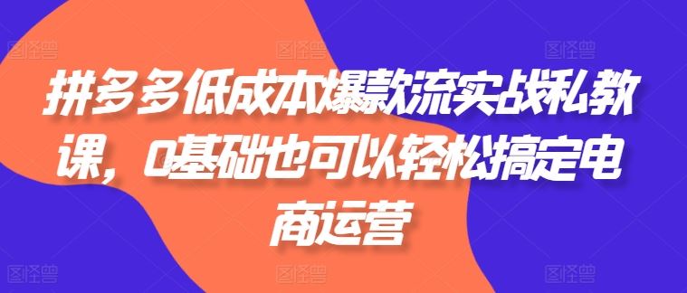 拼多多低成本爆款流实战私教课，0基础也可以轻松搞定电商运营-沫尘创业网-知识付费资源网站搭建-中创网-冒泡网赚-福缘创业网