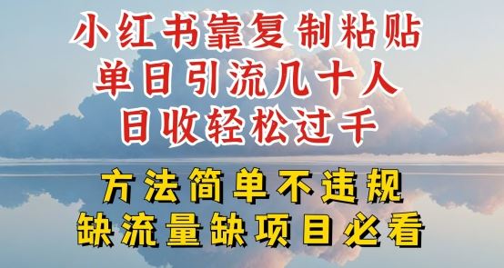 小红书靠复制粘贴单日引流几十人目收轻松过千，方法简单不违规【揭秘】-沫尘创业网-知识付费资源网站搭建-中创网-冒泡网赚-福缘创业网