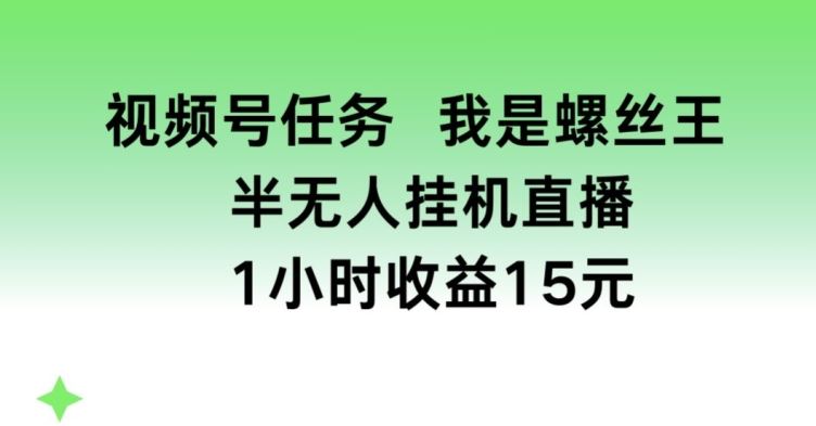 视频号任务，我是螺丝王， 半无人挂机1小时收益15元【揭秘】-沫尘创业网-知识付费资源网站搭建-中创网-冒泡网赚-福缘创业网