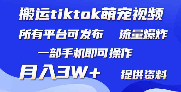 （9618期）搬运Tiktok萌宠类视频，一部手机即可。所有短视频平台均可操作，月入3W+-沫尘创业网-知识付费资源网站搭建-中创网-冒泡网赚-福缘创业网