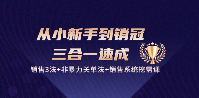 （10799期）从小新手到销冠 三合一速成：销售3法+非暴力关单法+销售系统挖需课 (27节)-沫尘创业网-知识付费资源网站搭建-中创网-冒泡网赚-福缘创业网