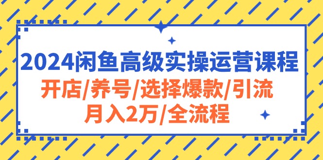 （10711期）2024闲鱼高级实操运营课程：开店/养号/选择爆款/引流/月入2万/全流程-沫尘创业网-知识付费资源网站搭建-中创网-冒泡网赚-福缘创业网