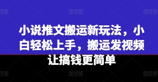 小说推文搬运新玩法，小白轻松上手，搬运发视频让搞钱更简单-沫尘创业网-知识付费资源网站搭建-中创网-冒泡网赚-福缘创业网