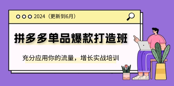 （11556期）2024拼多多-单品爆款打造班(更新6月)，充分应用你的流量，增长实战培训-沫尘创业网-知识付费资源网站搭建-中创网-冒泡网赚-福缘创业网