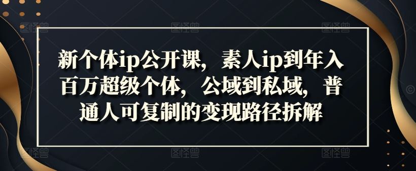 新个体ip公开课，素人ip到年入百万超级个体，公域到私域，普通人可复制的变现路径拆解-沫尘创业网-知识付费资源网站搭建-中创网-冒泡网赚-福缘创业网