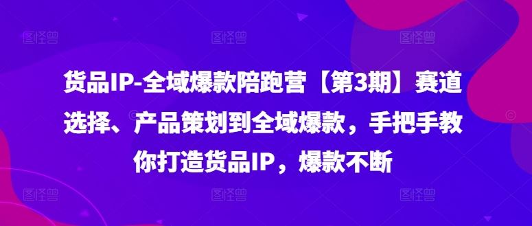 货品IP全域爆款陪跑营【第3期】赛道选择、产品策划到全域爆款，手把手教你打造货品IP，爆款不断-沫尘创业网-知识付费资源网站搭建-中创网-冒泡网赚-福缘创业网