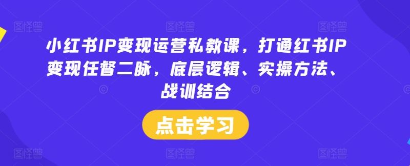 小红书IP变现运营私教课，打通红书IP变现任督二脉，底层逻辑、实操方法、战训结合-沫尘创业网-知识付费资源网站搭建-中创网-冒泡网赚-福缘创业网