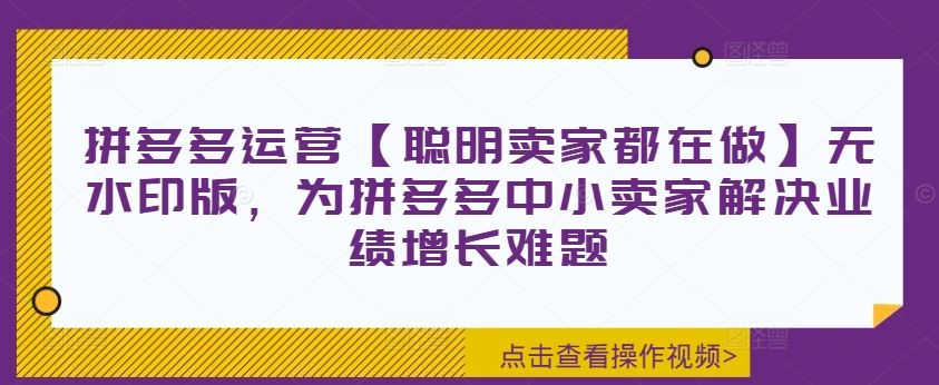 拼多多运营【聪明卖家都在做】无水印版，为拼多多中小卖家解决业绩增长难题-沫尘创业网-知识付费资源网站搭建-中创网-冒泡网赚-福缘创业网