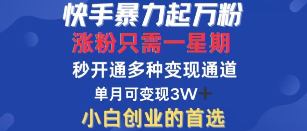 快手暴力起万粉，涨粉只需一星期，多种变现模式，直接秒开万合，单月变现过W【揭秘】-沫尘创业网-知识付费资源网站搭建-中创网-冒泡网赚-福缘创业网