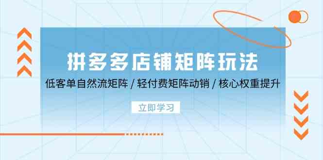 拼多多店铺矩阵玩法：低客单自然流矩阵 / 轻付费矩阵 动销 / 核心权重提升-沫尘创业网-知识付费资源网站搭建-中创网-冒泡网赚-福缘创业网