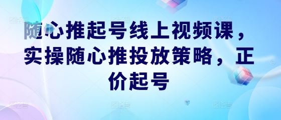 随心推起号线上视频课，实操随心推投放策略，正价起号-沫尘创业网-知识付费资源网站搭建-中创网-冒泡网赚-福缘创业网