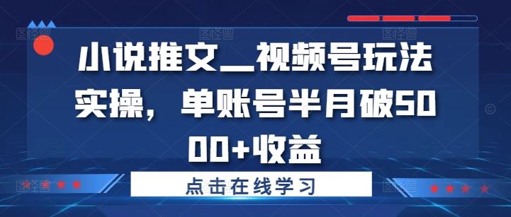 小说推文—视频号玩法实操，单账号半月破5000+收益-沫尘创业网-知识付费资源网站搭建-中创网-冒泡网赚-福缘创业网